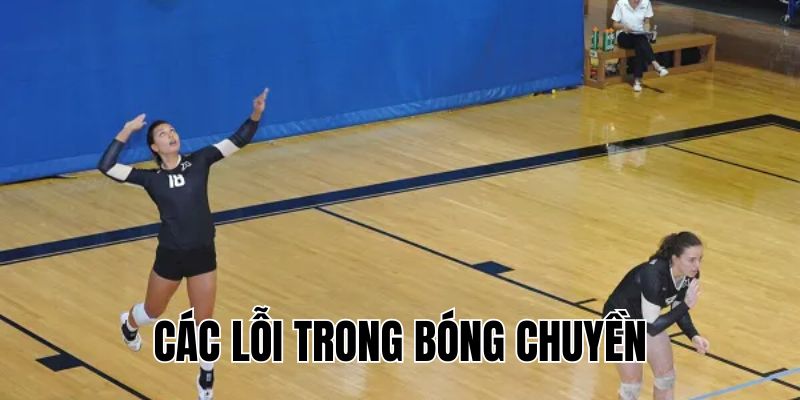 Các Lỗi Trong Bóng Chuyền: Cách Nhận Biết Và Khắc Phục Ngay