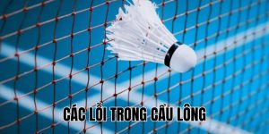 Các Lỗi Trong Cầu Lông: Tổng Hợp Và Cách Khắc Phục Hiệu Quả